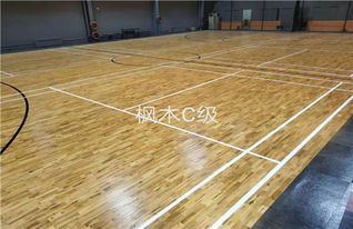 運(yùn)動(dòng)場(chǎng)館地板選擇指南 企口硬木地板與塑膠地板的對(duì)比與應(yīng)用